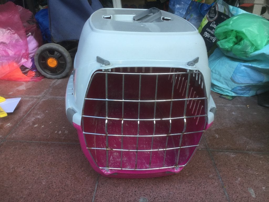 Reismand kat, Ophalen