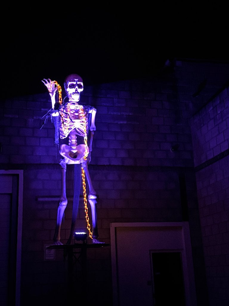 reuze XXL Halloween skelet  BORIS 335cm hoog, Ophalen, Nieuw, Versiering