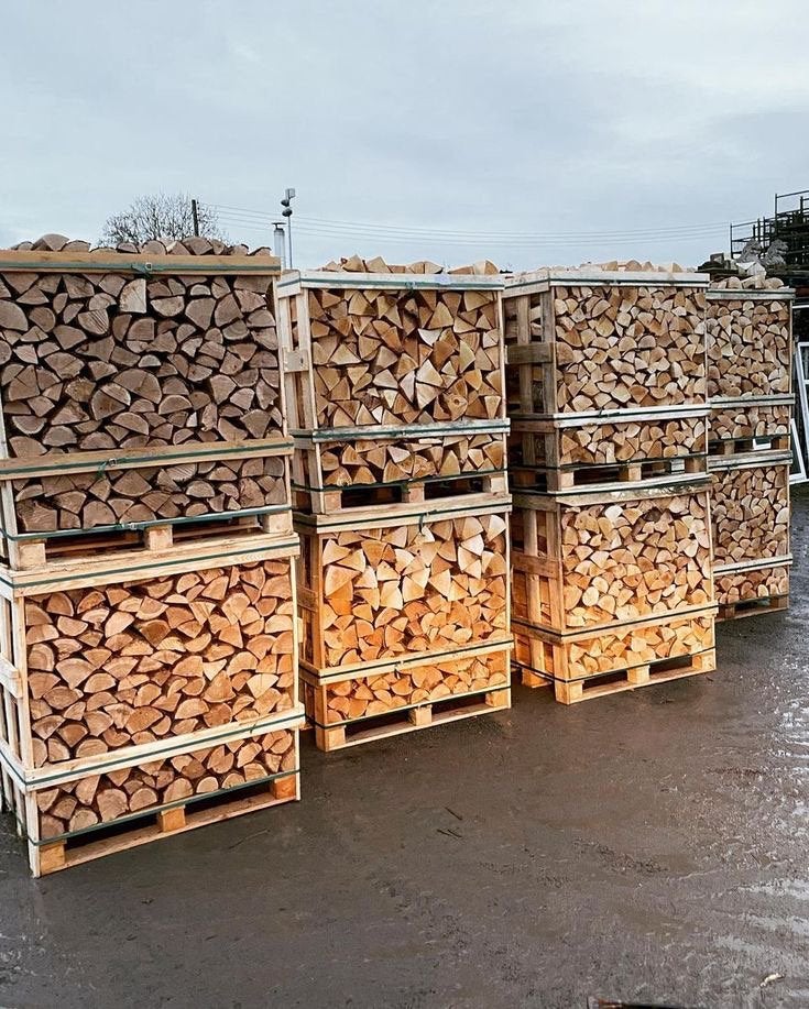 Votre bois de chauffage pour un hiver bien au chaud, Jardin & Terrasse, Enlèvement ou Envoi, Bouleau, Bûches