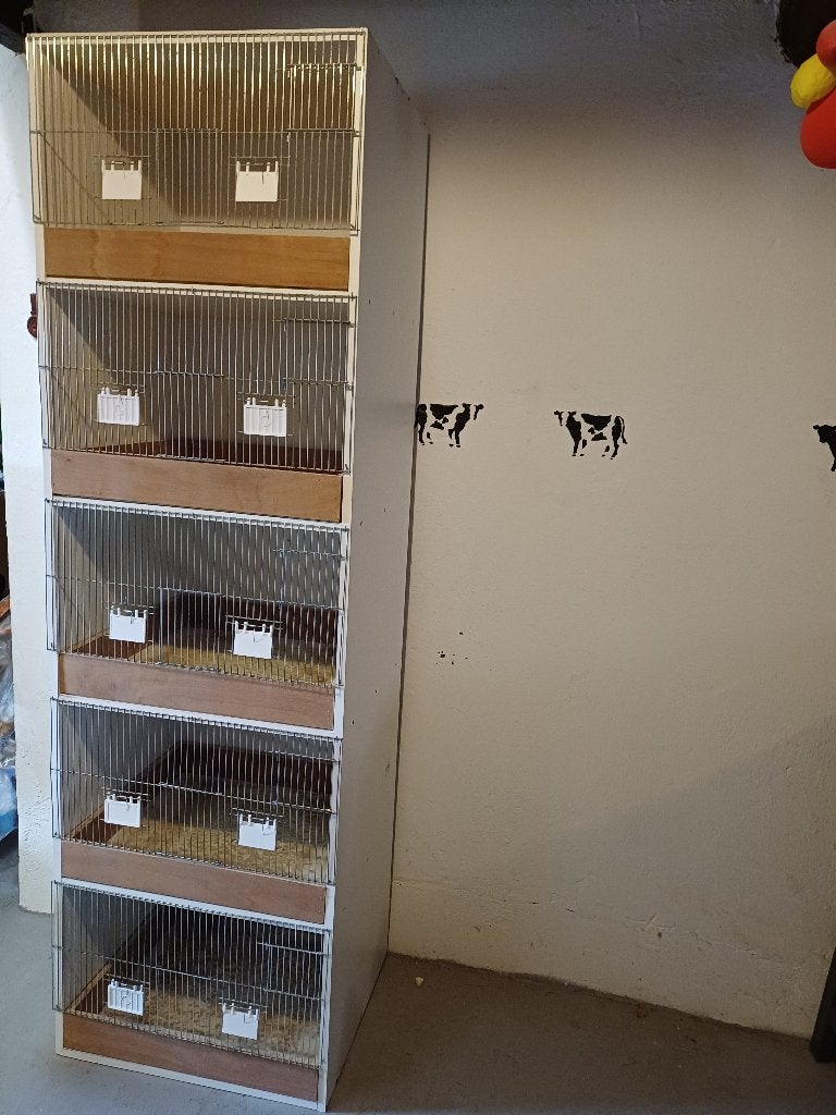 Te koop kanarie/parkieten kweekkooien., Dieren en Toebehoren, Ophalen, Zo goed als nieuw, Overige typen