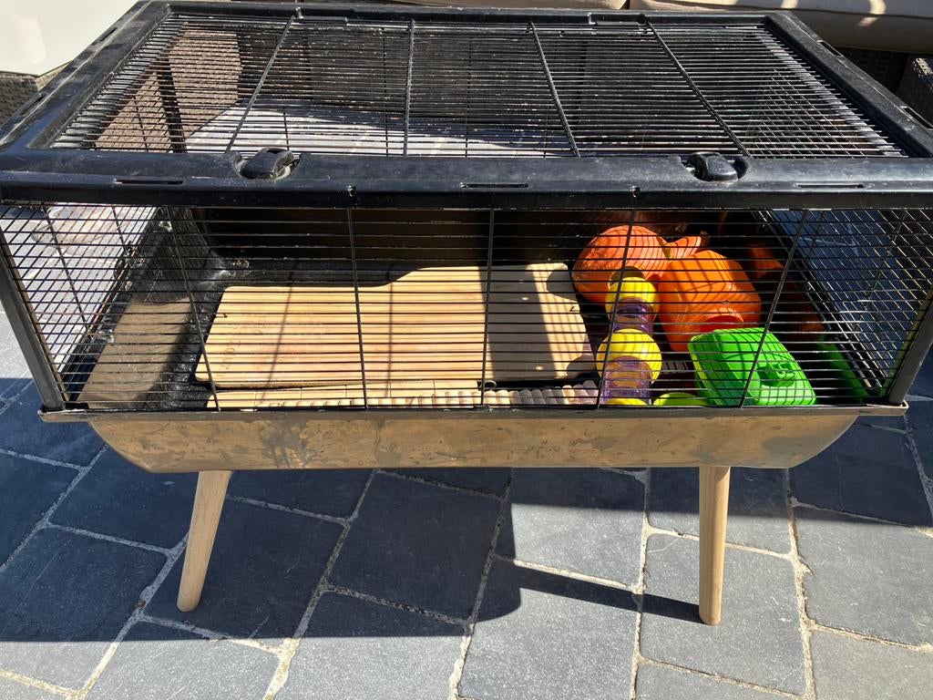 Gratis hamsterkooien, Dieren en Toebehoren, Ophalen, Gebruikt