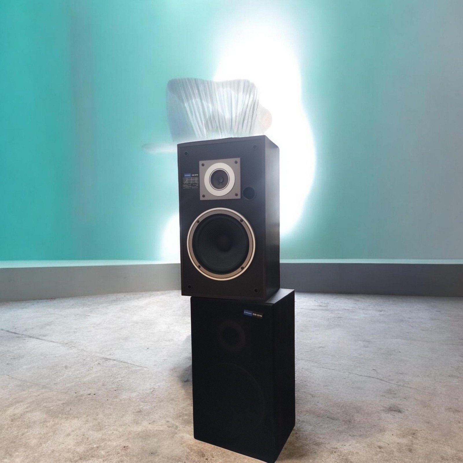 Pioneer CS-575, Enlèvement, Pioneer