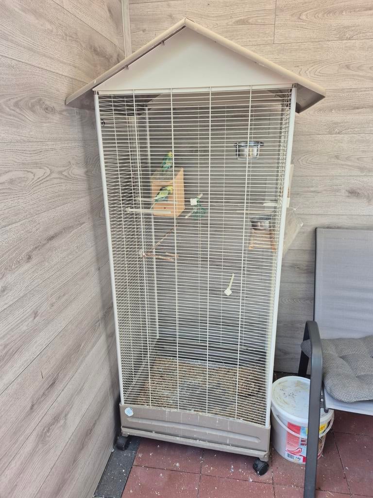 3 parkieten te koop Met de kooi, Dieren en Toebehoren, Vogels | Hokken en Kooien, Ophalen