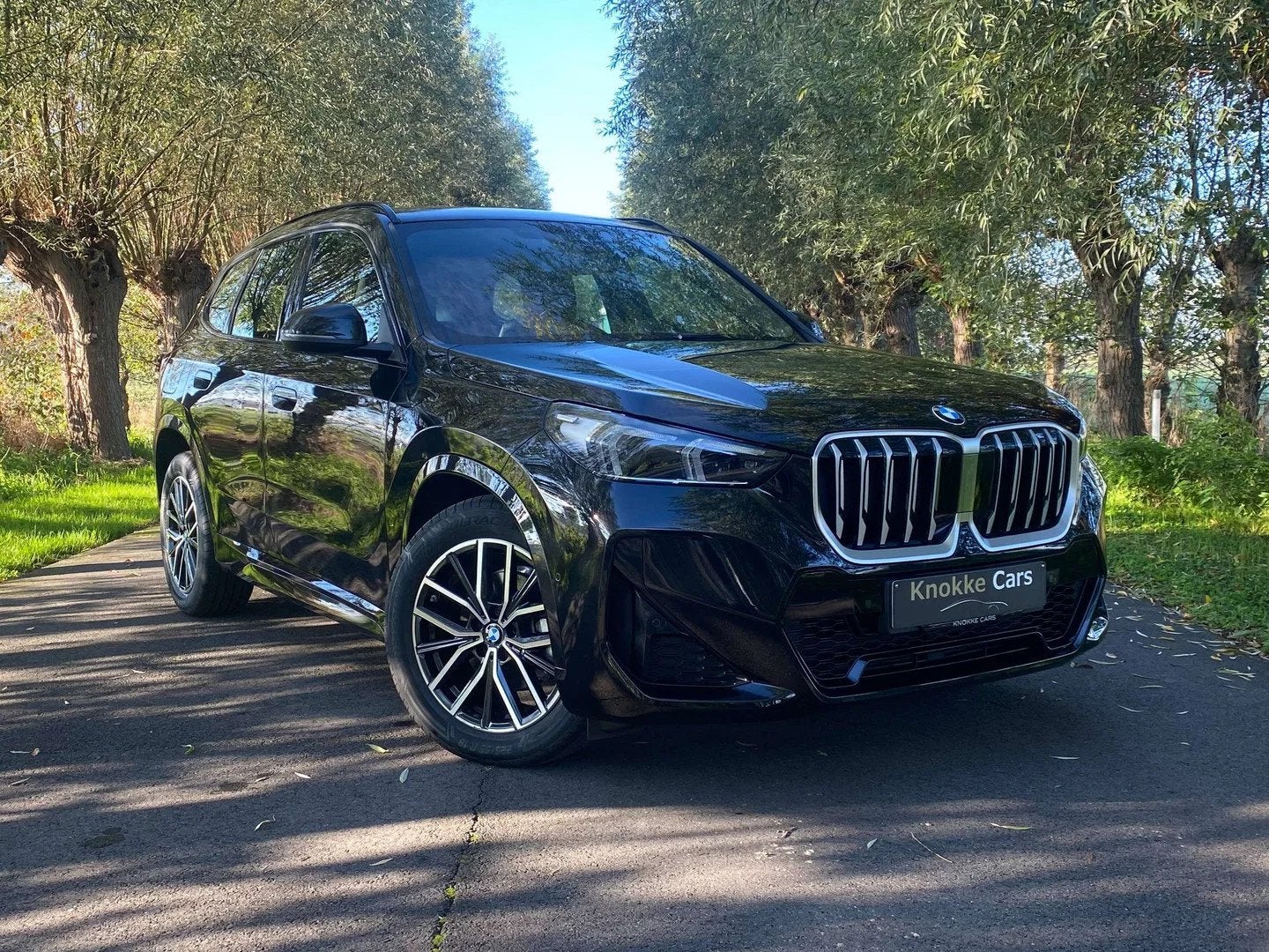 BMW X1 M-Sportpack,Sportzetels,Trekhaak elektr wegklapbaar,P, Achat, Ordinateur de bord, 5 portes, 5 places