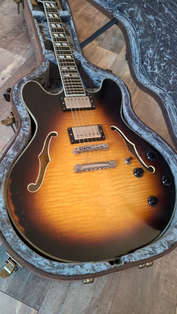 Eastman T59/v, Muziek en Instrumenten, Snaarinstrumenten | Gitaren | Elektrisch, Ophalen, Zo goed als nieuw, Hollow body, Overige merken