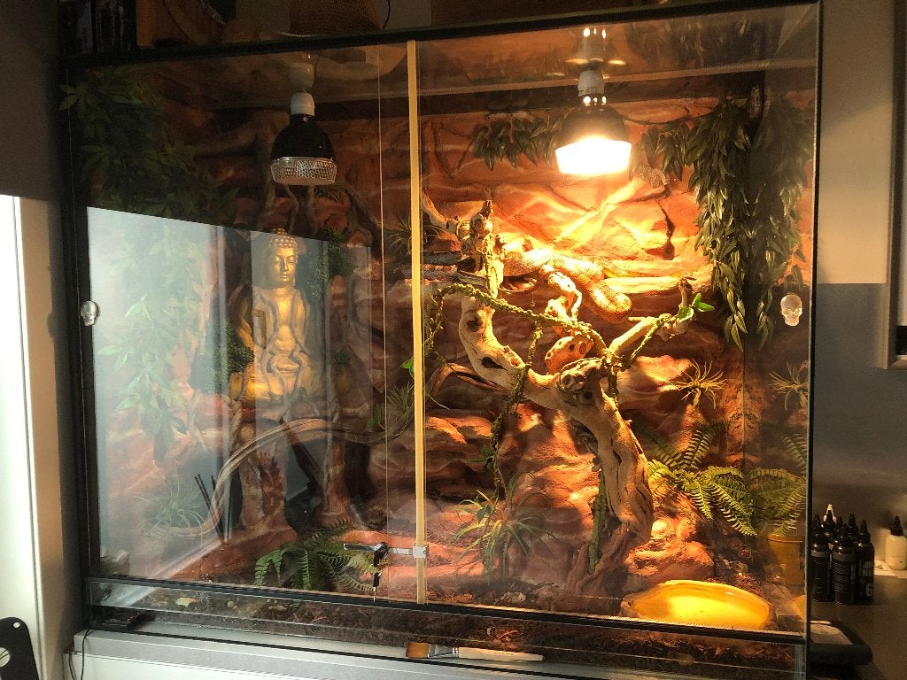 Terrarium en toebehoren, Animaux & Accessoires, Reptiles & Amphibiens | Accessoires, Enlèvement, Comme neuf, Terrarium ou Paludarium