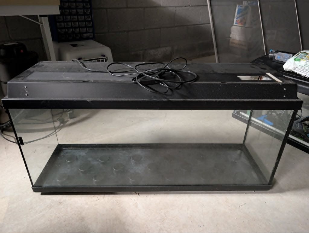 Aquarium Juwel B100xH50xD30cm, Ophalen, Zo goed als nieuw, Leeg aquarium, Juwel