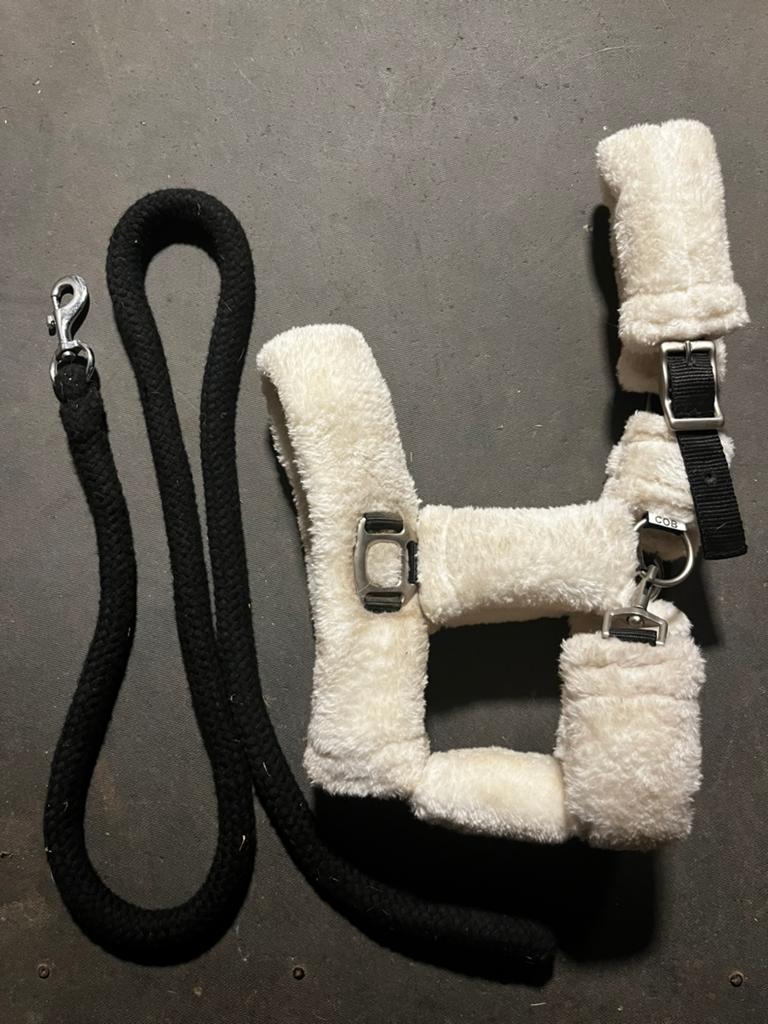 Divers équipements pour chevaux à vendre !, Animaux & Accessoires, Chevaux