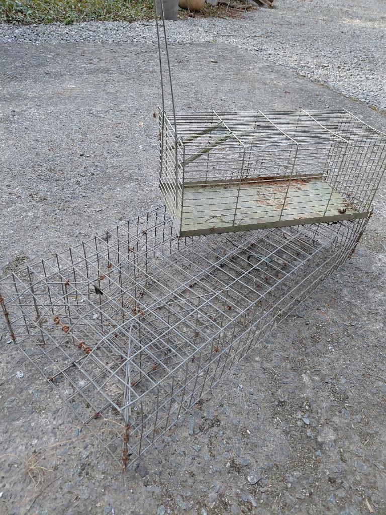piège a rat, Animaux & Accessoires, Enlèvement, Utilisé