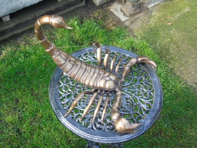 grote bronzen schorpioen., Ophalen of Verzenden, Nieuw, Overige materialen, Dierenbeeld
