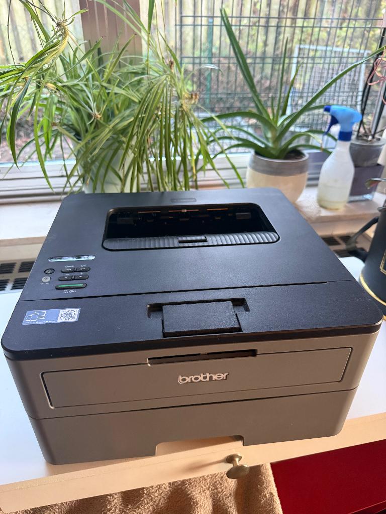 Brother HL-L2350DW, Computers en Software, Ophalen, Zwart-en-wit printen, Printer, Draadloos