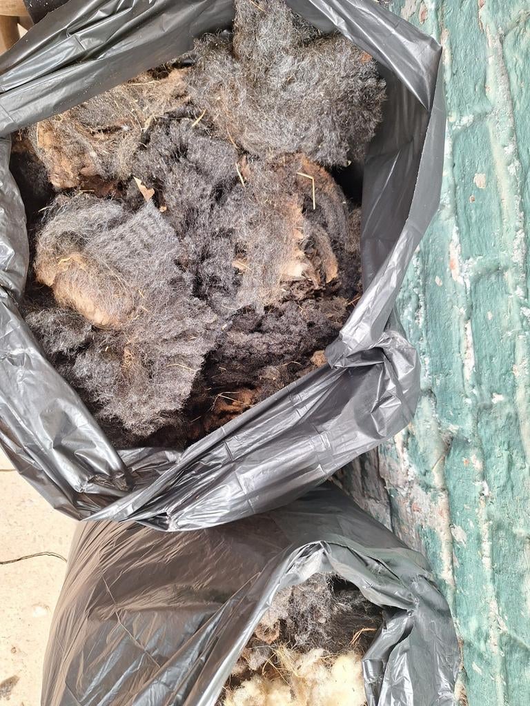Schapenwol 2 zakken, gratis, Tuin en Terras, Aarde en Mest, Ophalen