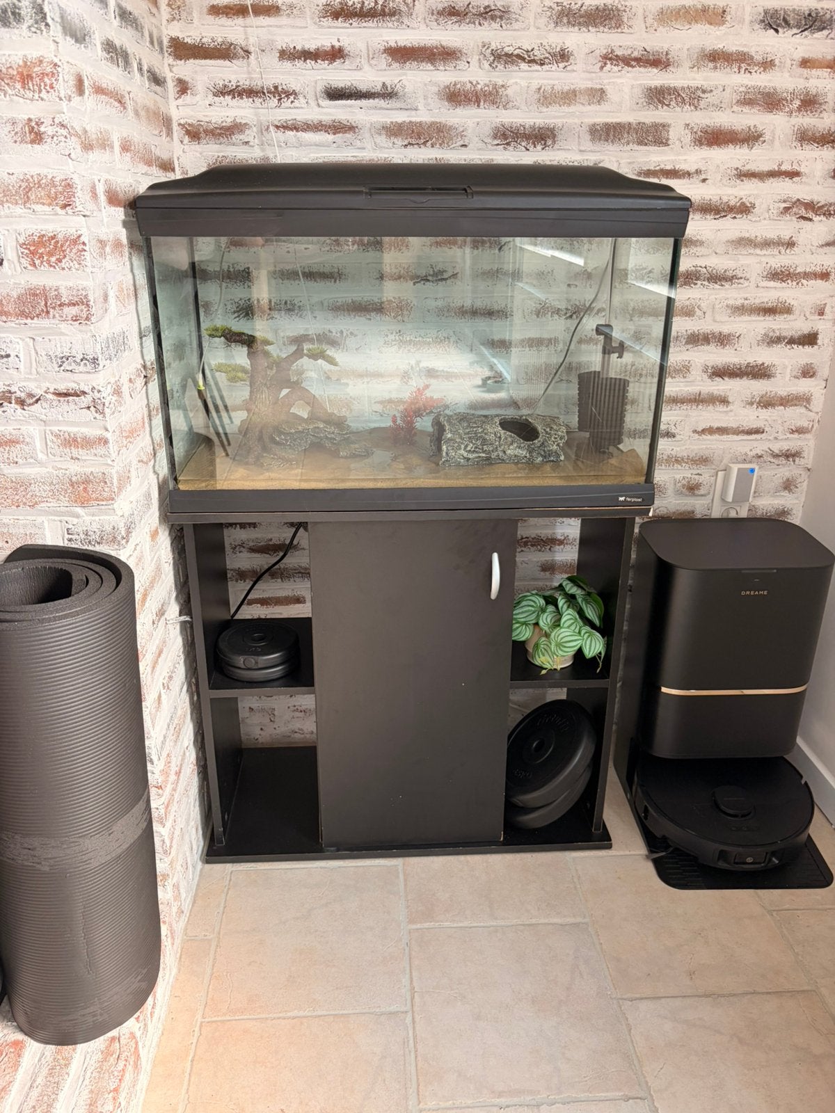 Aquarium met alles op en aan, Enlèvement, Utilisé