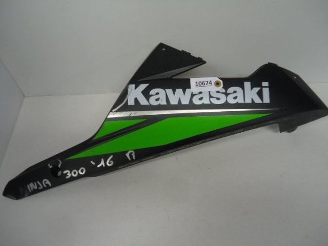 ninja 300R 2012 - 2017 Kawasaki Kuipdeel D1-18567
