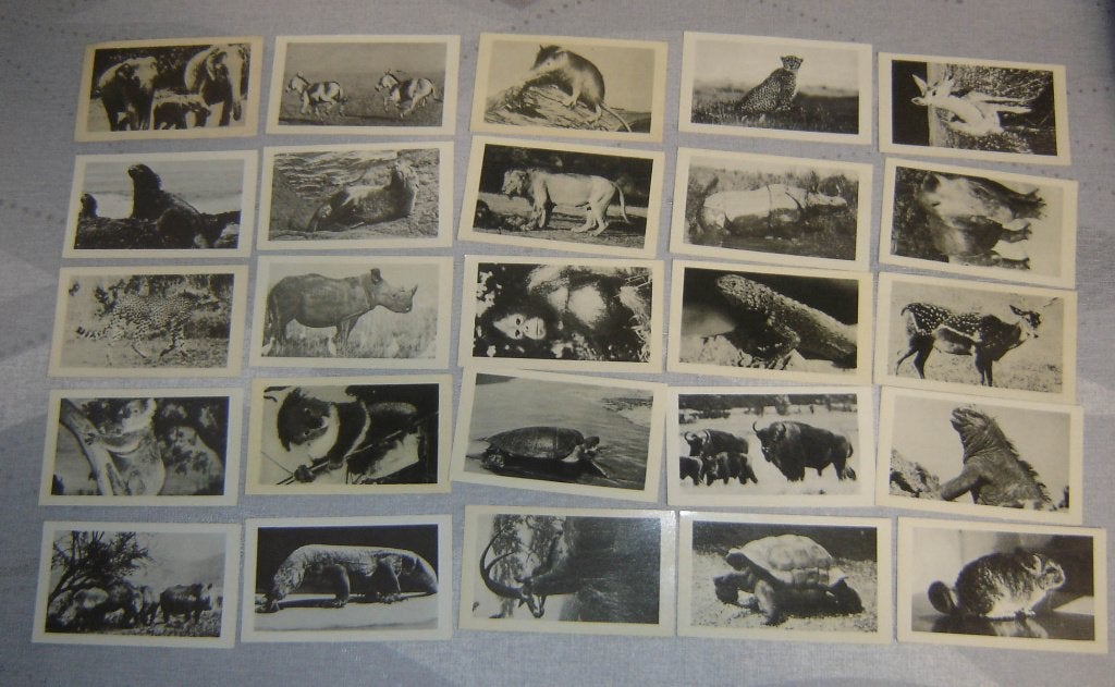 Chromos Jubilé The World WildLife Fund WWF serie 1-50, Gebruikt, Verzenden, 1940 tot 1960, Prent