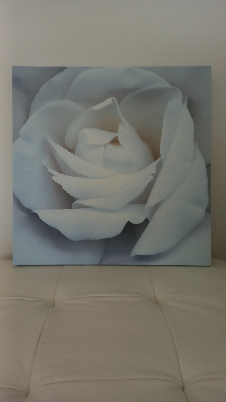 canvas witte roos, Ophalen of Verzenden