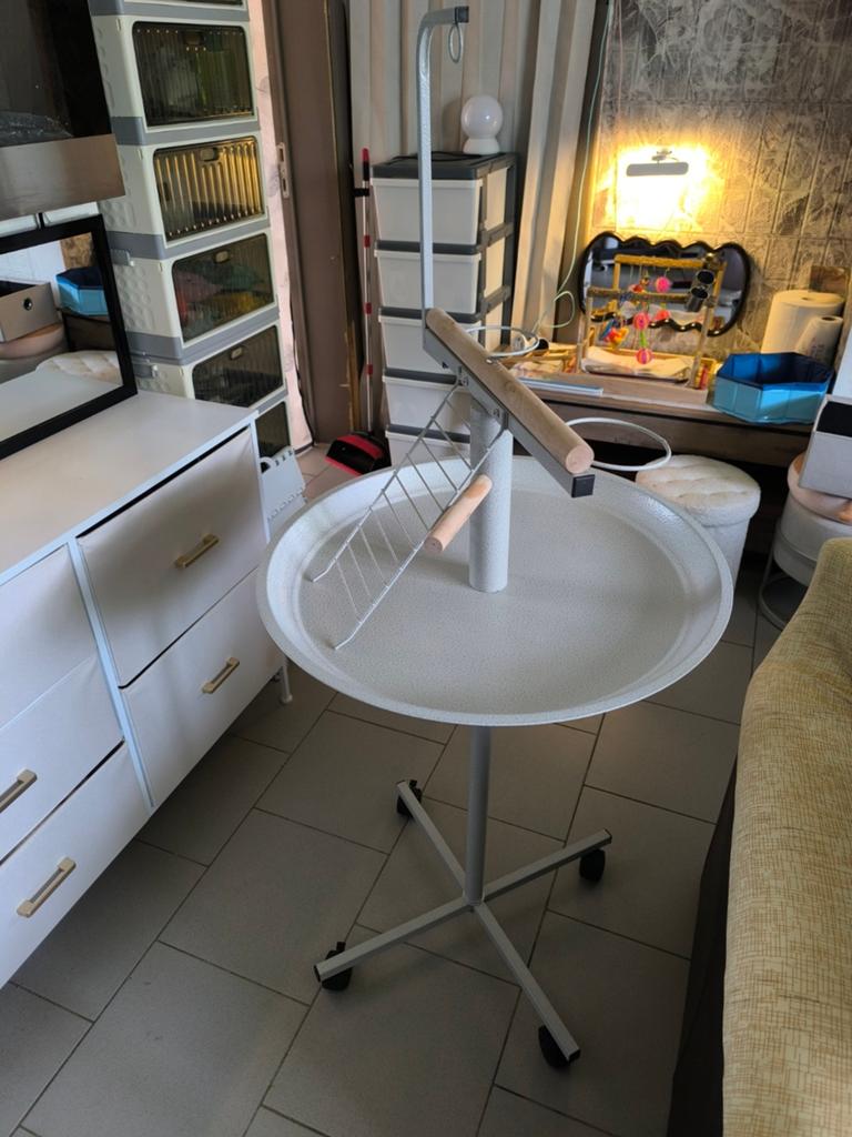 Perchoir, Animaux & Accessoires, Enlèvement