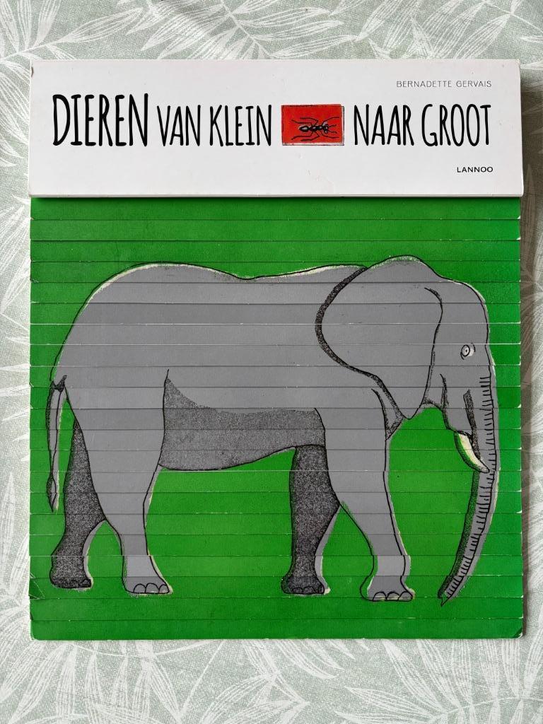 Dieren van klein naar groot - Bernadette Gervais, Boeken, Kinderboeken | Kleuters, Zo goed als nieuw, Ophalen of Verzenden