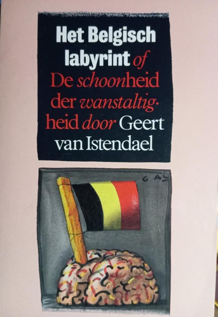Het Belgisch labyrint - Geert van Istendael, Ophalen of Verzenden