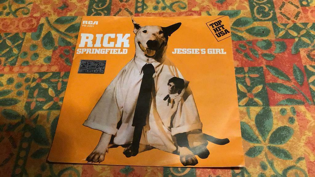 Vynil seul Rick, Springfield, Enlèvement ou Envoi, Single