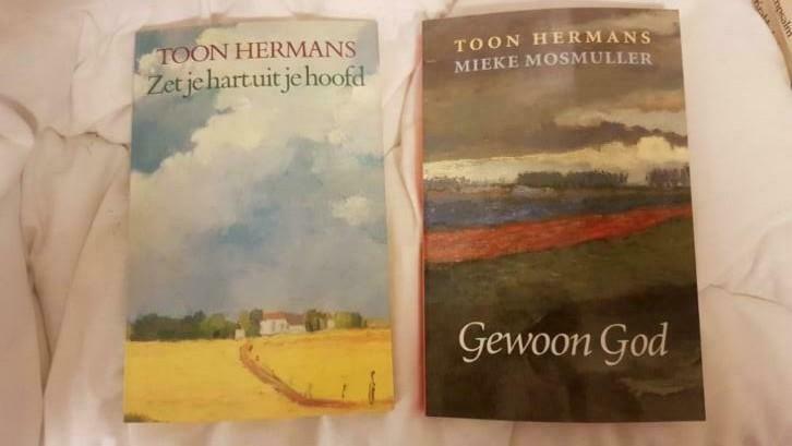 Toon Hermans BOEKEN Gewoon God/ Zet je hart uit je hoofd, Ophalen of Verzenden, Zo goed als nieuw