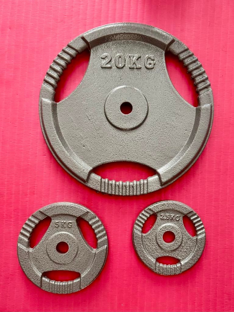 Halterschijf, 20kg, 5kg of 2,5kg met 30mm boring, Ophalen, Zo goed als nieuw, Halterschijven