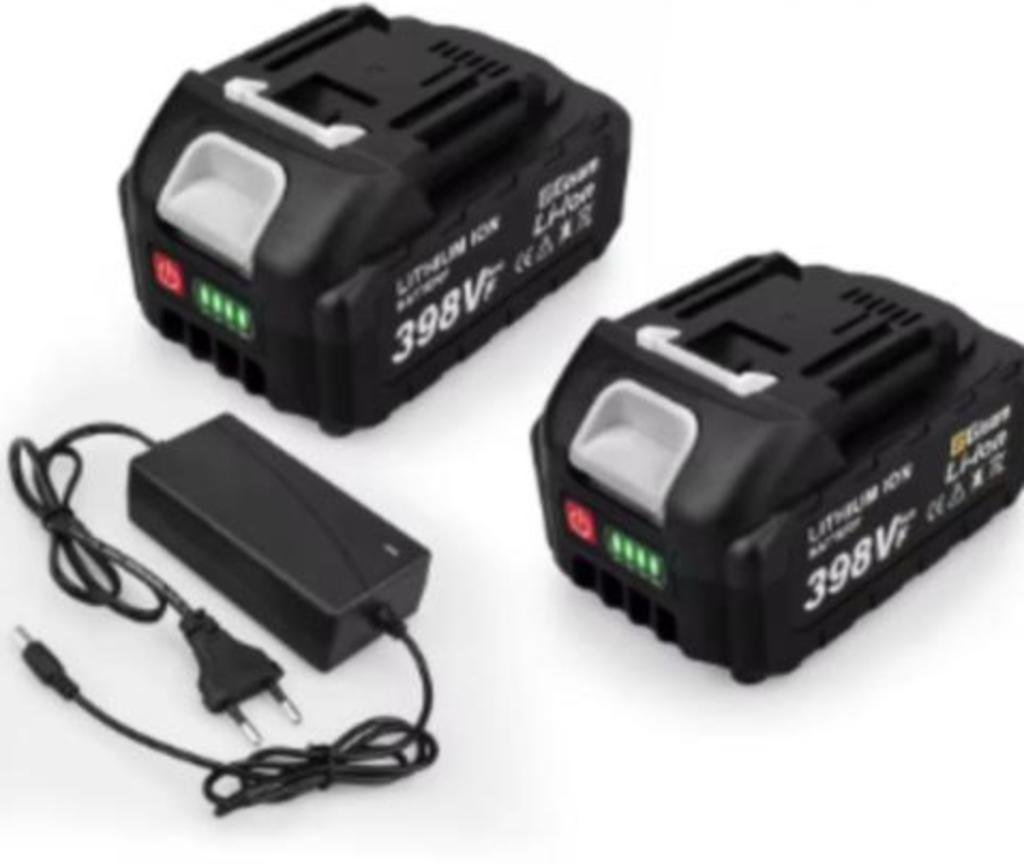 Gisam 2 stuks batterijen 398Vf inclusief oplader