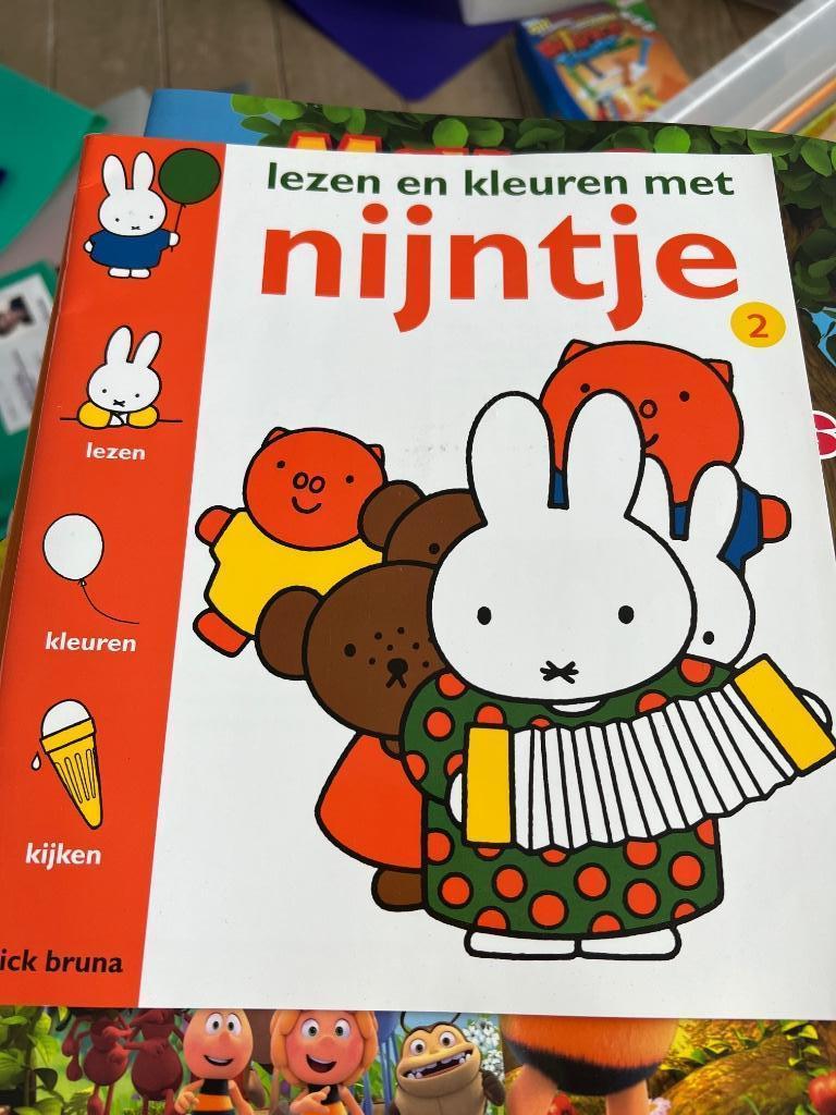 Nijntje invul en voorleesboeken, Neuf, Garçon ou Fille, Enlèvement ou Envoi, Fiction général