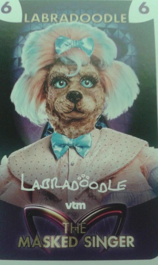 Verzamelkaart Labradoodle 'Masked Singer' 2024, Ophalen of Verzenden, Nieuw