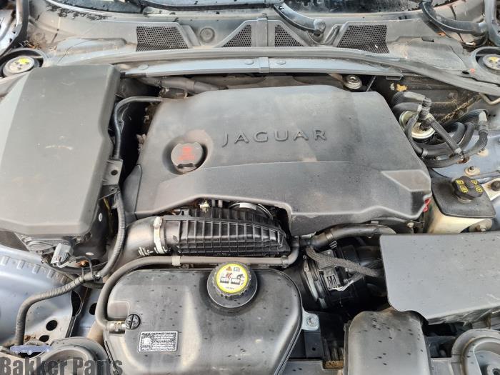 Motor van een Jaguar XF, Auto-onderdelen, Gebruikt, -, -, Jaguar
