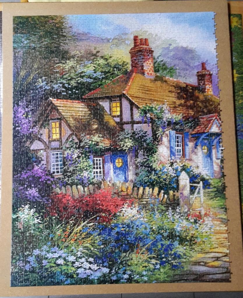 CASTORLAND PUZZEL 3000 stukjes, Enlèvement, Plus de 1 500 pièces, Utilisé, Puzzle