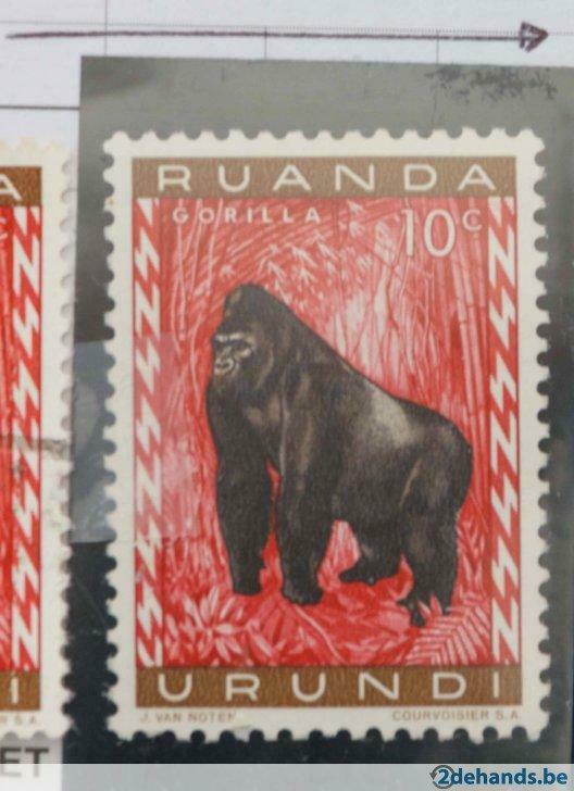 Ruanda-Urundi OBP 205 (*), Timbres & Monnaies, Timbres | Afrique, Enlèvement ou Envoi