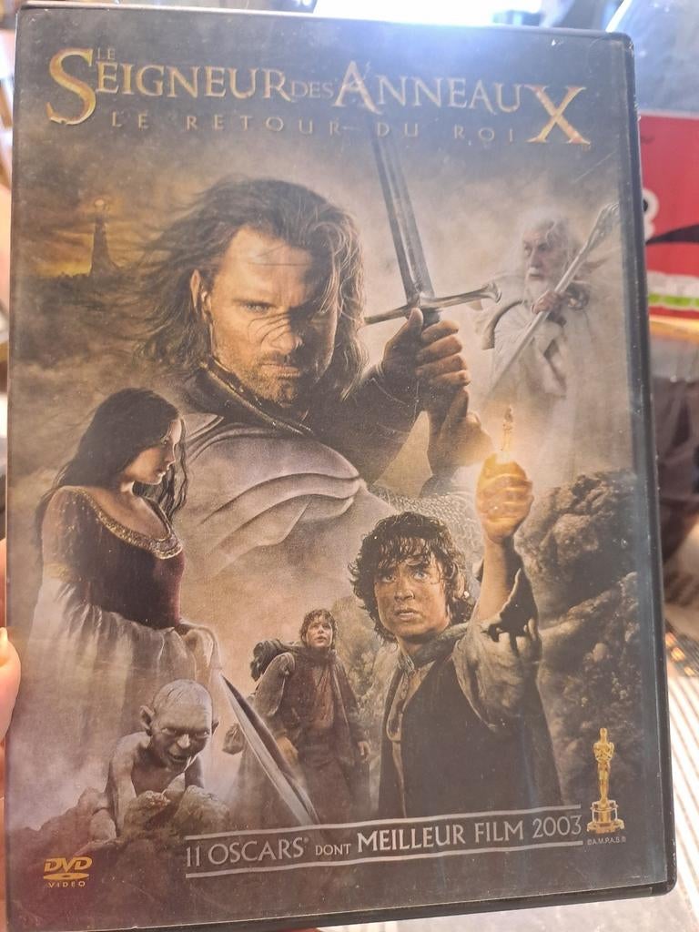 DVD Le Seigneur des Anneaux les retour du Roi, Enlèvement ou Envoi, Comme neuf