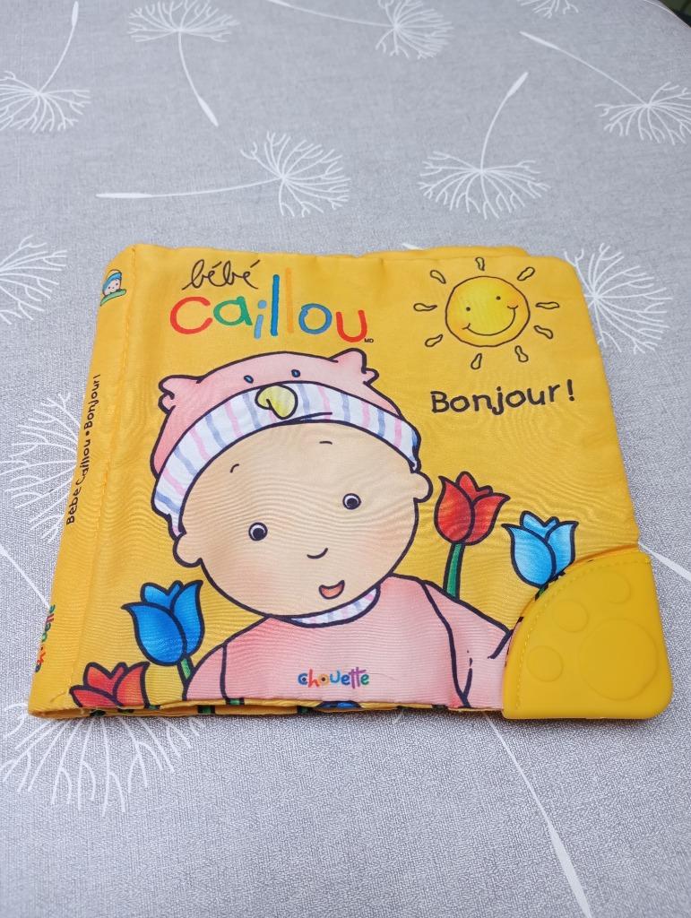 Bébé Caillou Bonjour!, Livres, Enlèvement ou Envoi