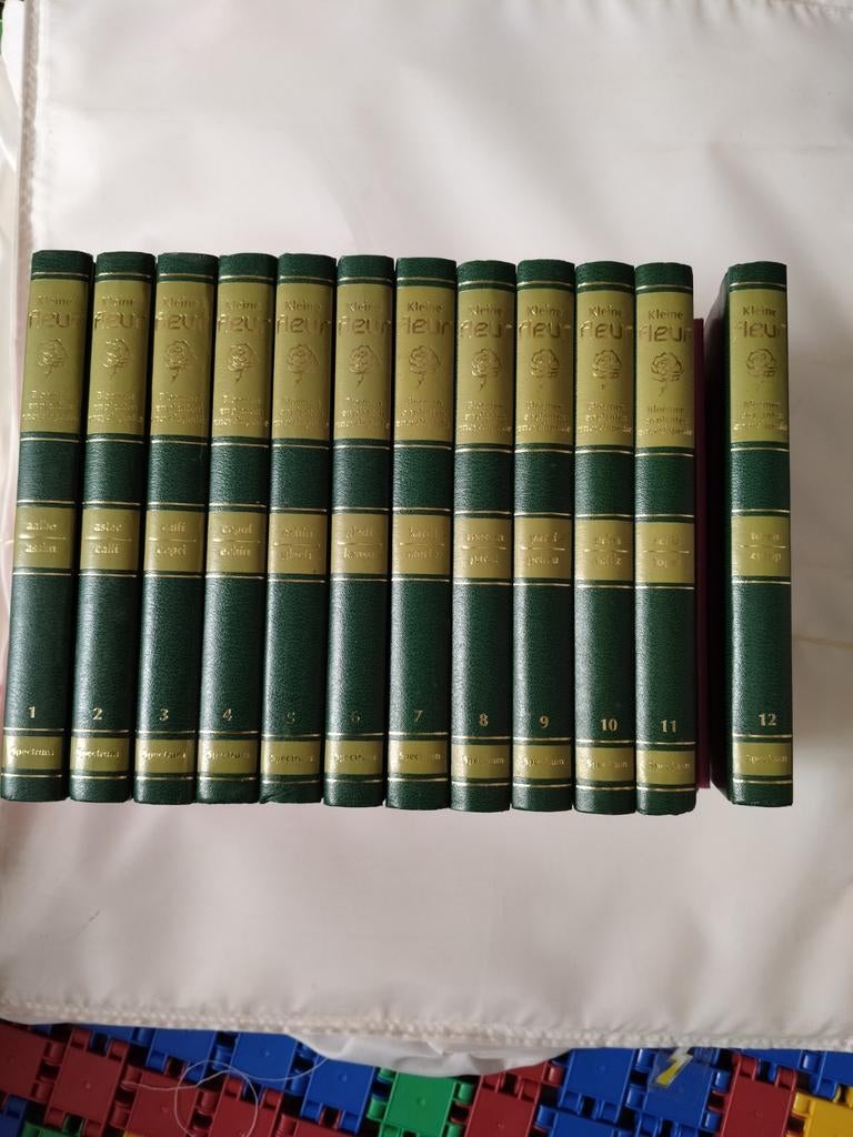 Kleine FLEUR, Boeken, Ophalen of Verzenden, Zo goed als nieuw