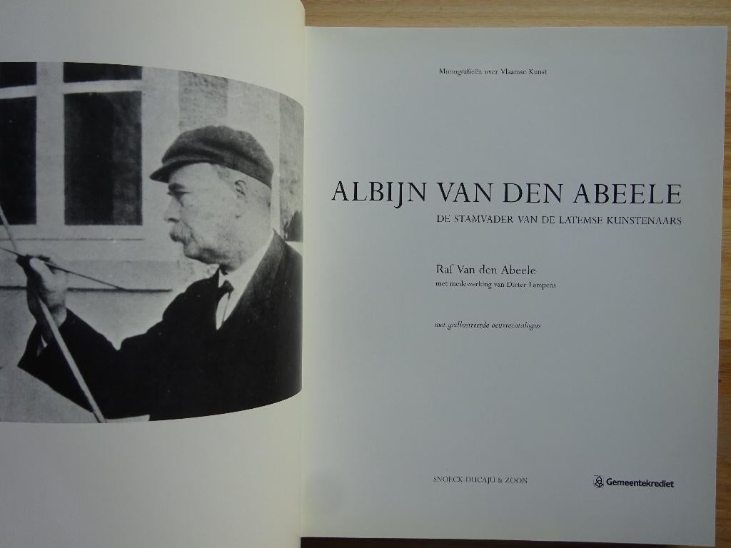 Albijn Van den Abeele - 1993 - monografie, oeuvrecatalogus, Ophalen of Verzenden, Zo goed als nieuw, Raf Van den Abeele, Schilder- en Tekenkunst