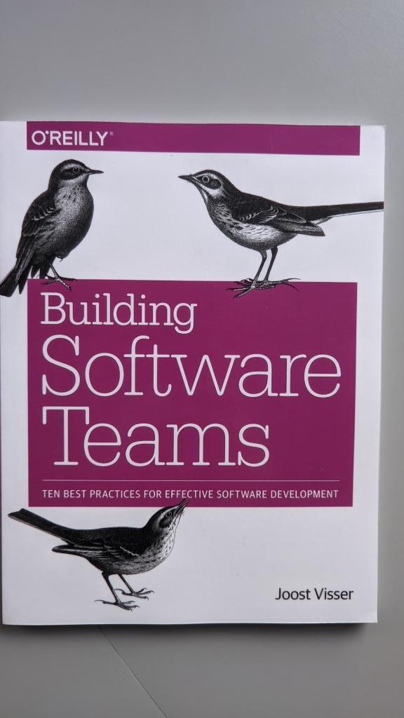 Building Software Teams, Livres, Informatique & Ordinateur, Enlèvement ou Envoi, Logiciel