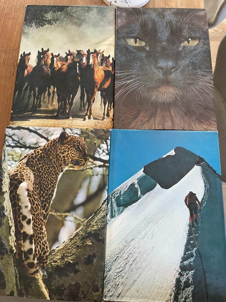 Artis historia 4 boeken (franstalig), Ophalen of Verzenden, Gelezen, Artis Historia, Prentenboek