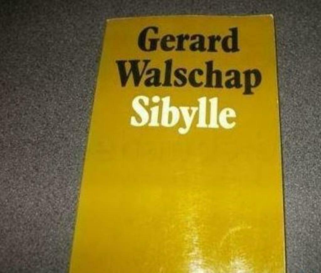 [2065]boek gerard walschap sibylle 1974, Ophalen of Verzenden, Gelezen