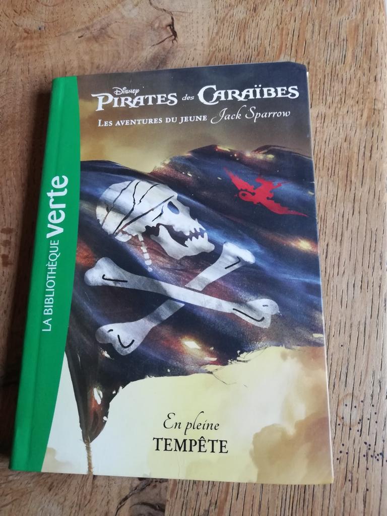 Livre "Pirates des Caraïbes" (Bibliothèque verte), Enlèvement ou Envoi, Utilisé, Fiction général