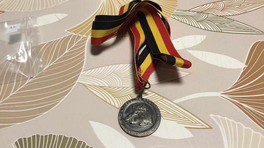 Médaille de la Marche, Collections, Envoi