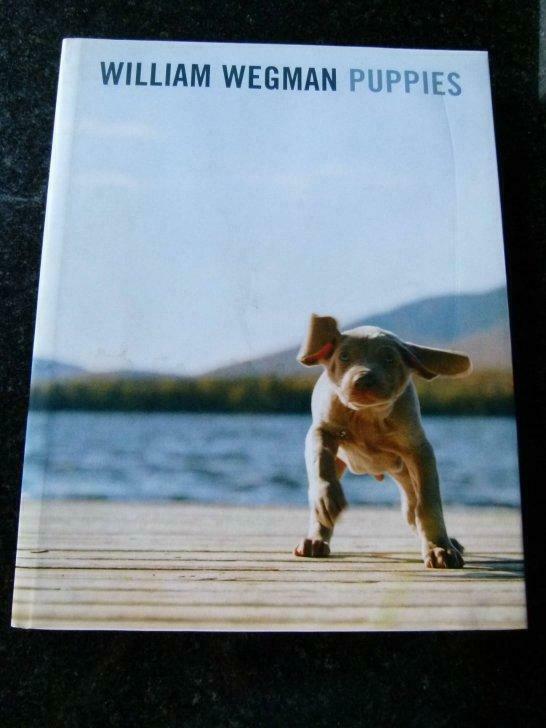William Wegman Puppies, Enlèvement ou Envoi, Utilisé