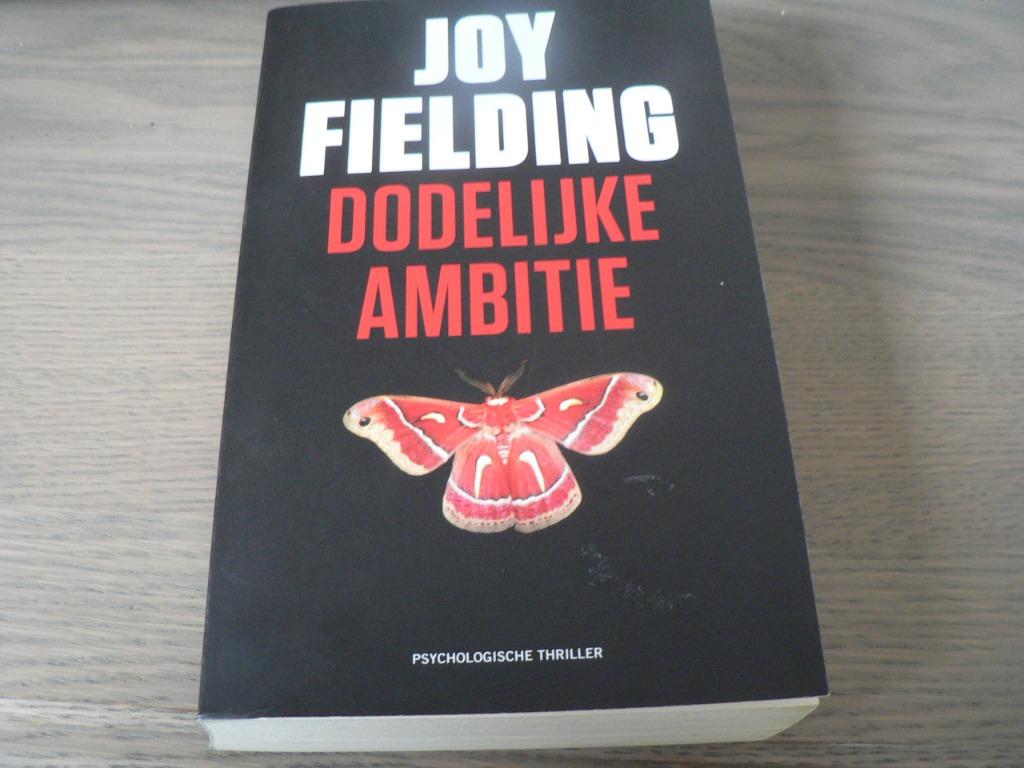 dodelijke ambitie joy fielding, Ophalen of Verzenden, Gelezen, Joy Fielding