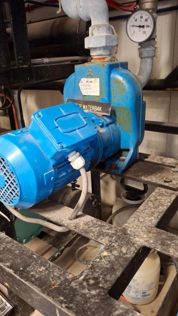 Waterpomp, Tuin en Terras, Waterpompen, Ophalen, Gebruikt, Elektrisch, Beregeningspomp