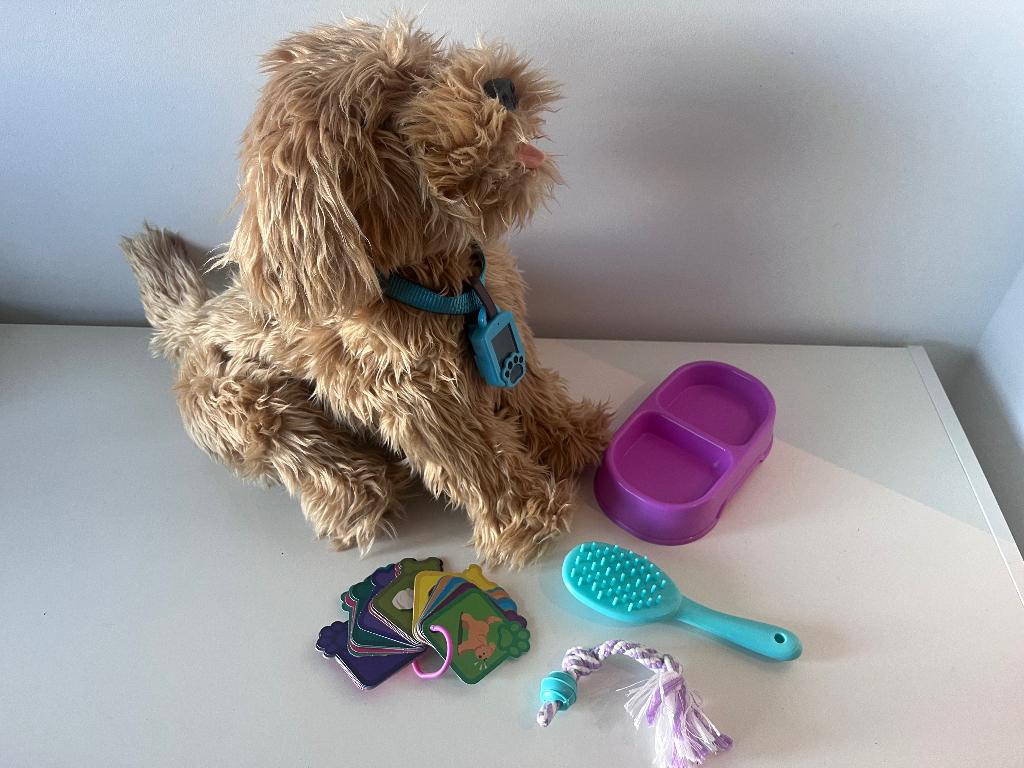 Labradoodle moji, Ophalen, Zo goed als nieuw, Jongen of Meisje