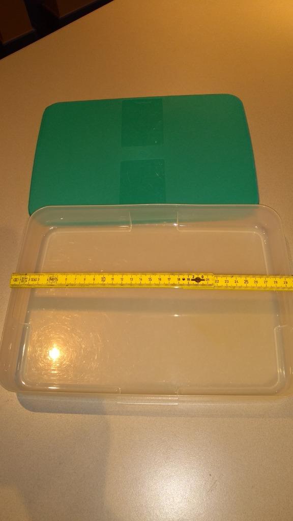 Tupperware fris doos bewaardoos voor vlees of vis in de frig, Ophalen of Verzenden, Zo goed als nieuw, Groen