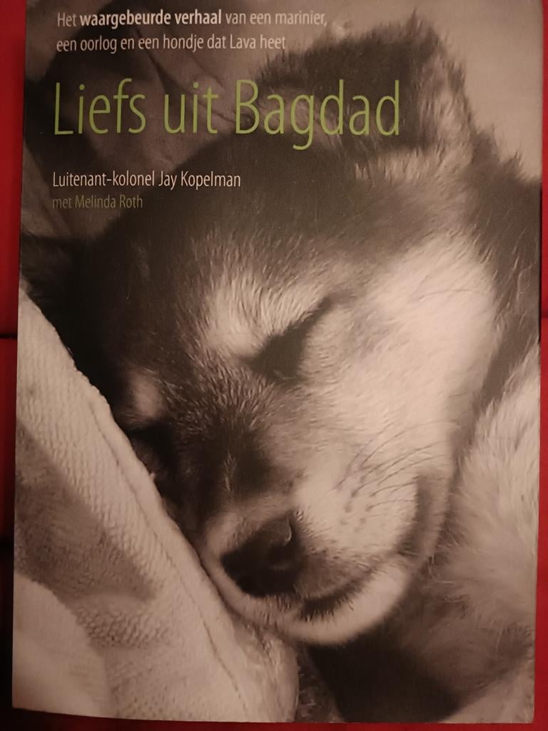 J. Kopelman - Liefs uit Bagdad, Ophalen of Verzenden, Zo goed als nieuw, J. Kopelman; M. Roth