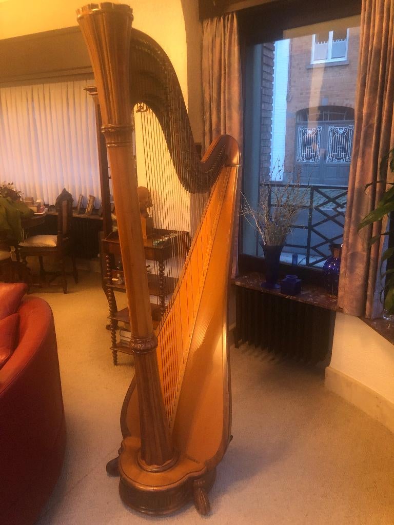 pedaalharp Salvi, model Diana, Muziek en Instrumenten, Snaarinstrumenten | Harpen, Gebruikt, Ophalen