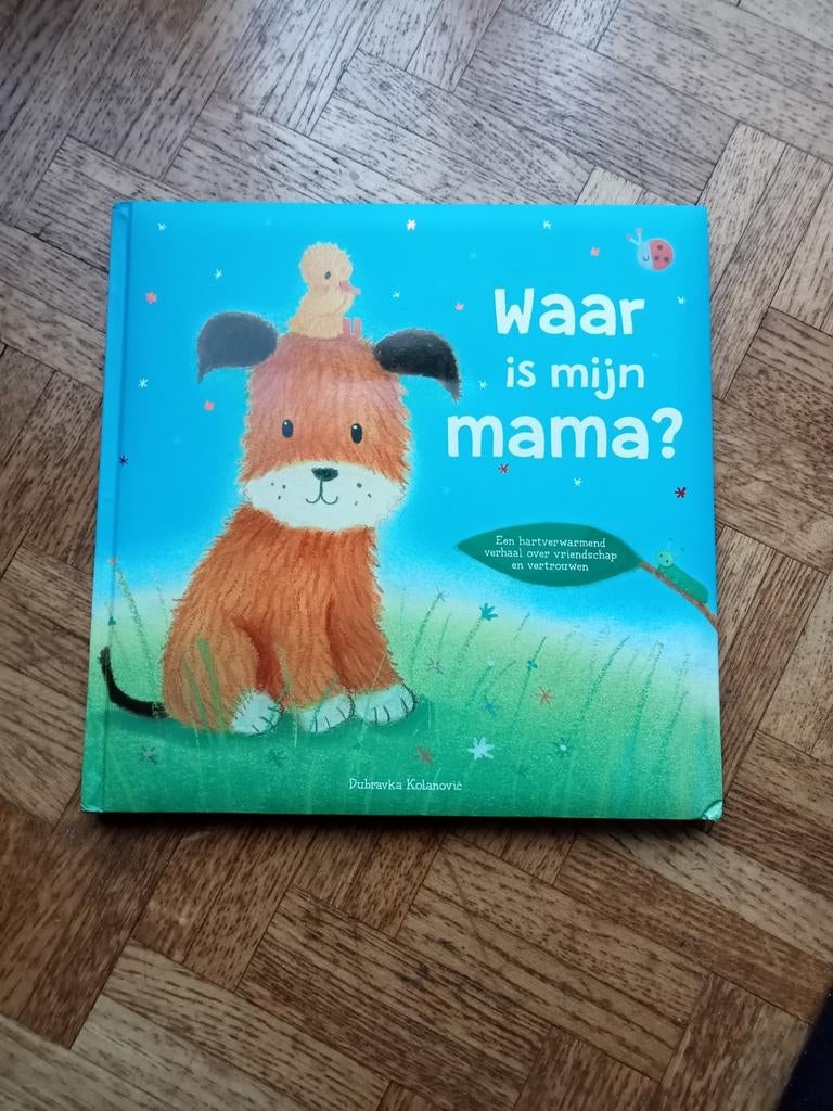 Dubravka Kolanovic: Waar is mijn mama?, Ophalen of Verzenden, Gelezen
