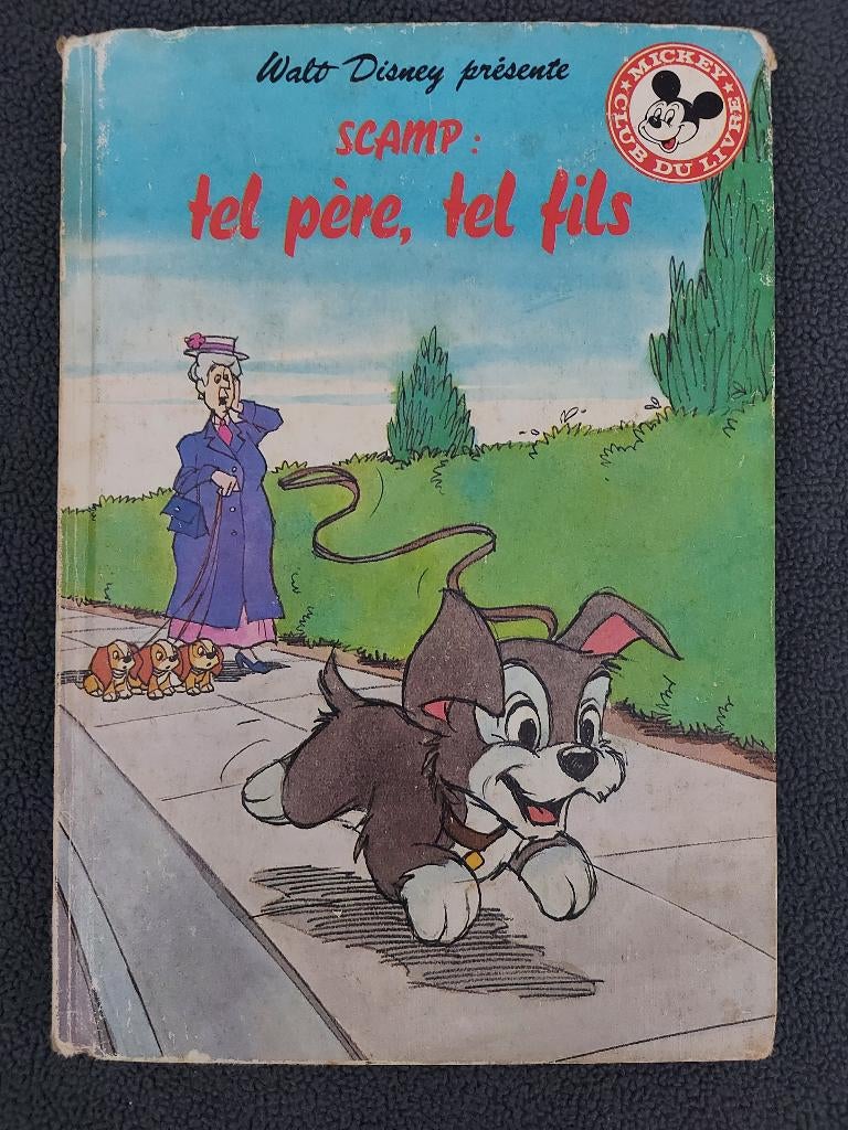 Disney Scamp, Boeken, Ophalen, Gelezen, Disney